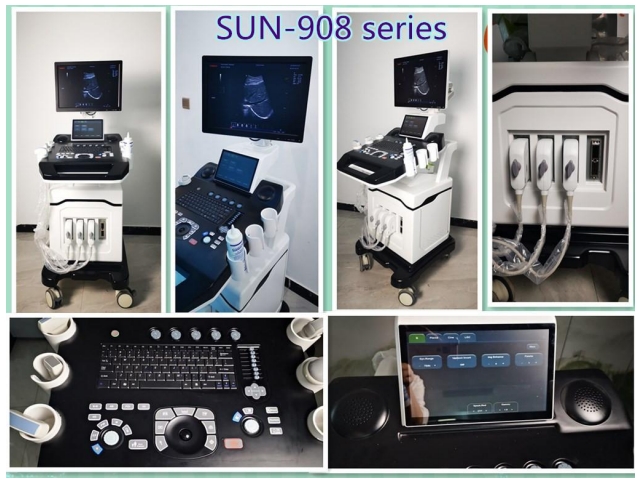 3D COLOR DOPPLER ULTRASOUND - Image 6