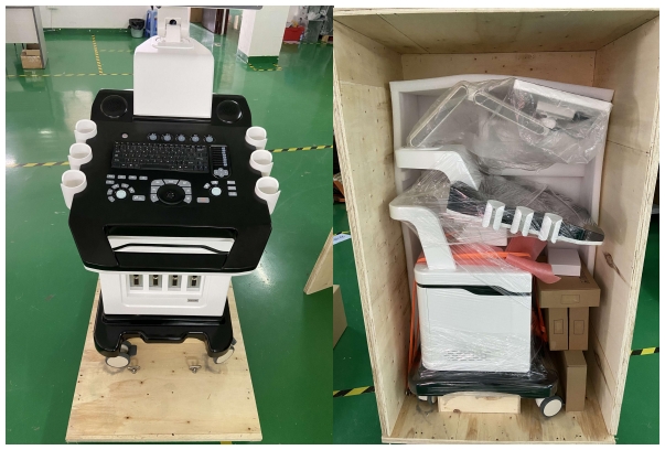 3D COLOR DOPPLER ULTRASOUND - Image 5